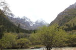 四姑娘山