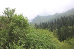 四姑娘山