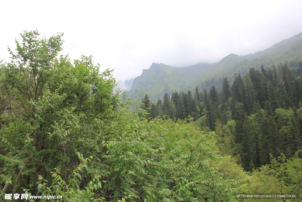 四姑娘山