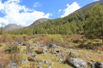 四姑娘山