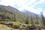 四姑娘山