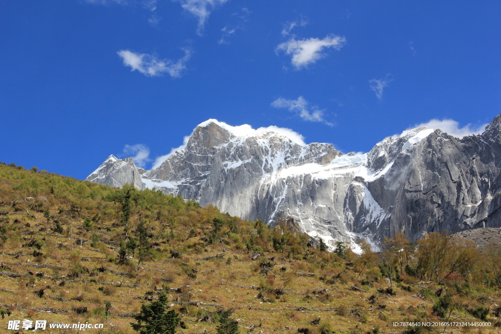 四姑娘山