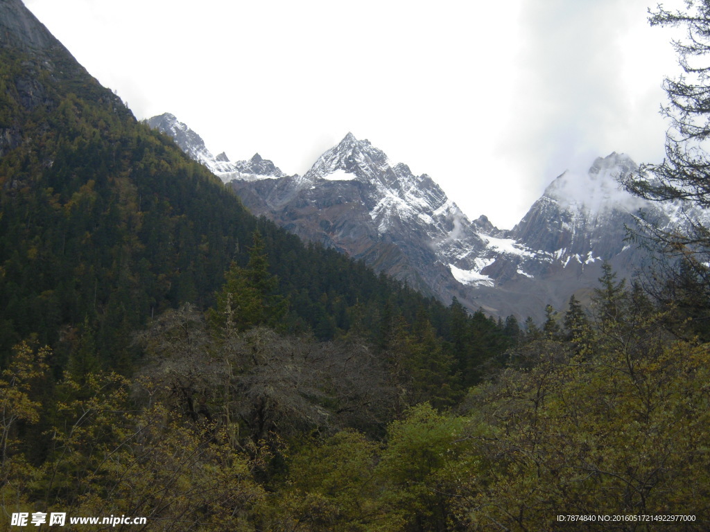 四姑娘山