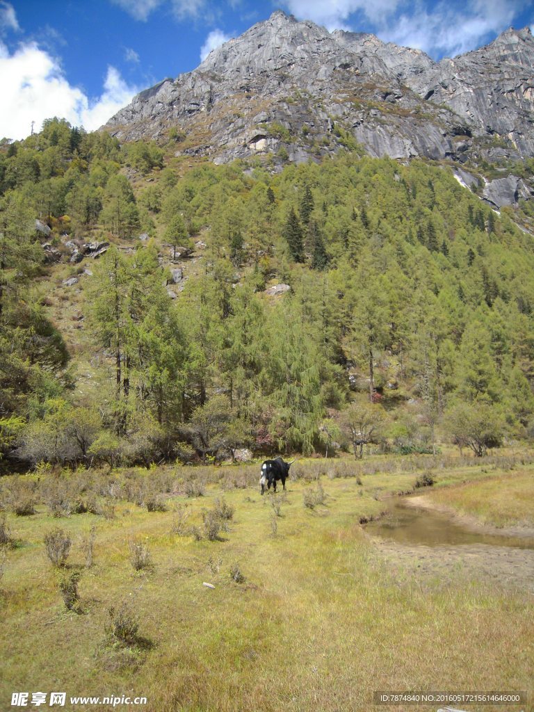 四姑娘山