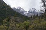 四姑娘山