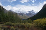 四姑娘山