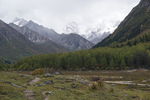 四姑娘山