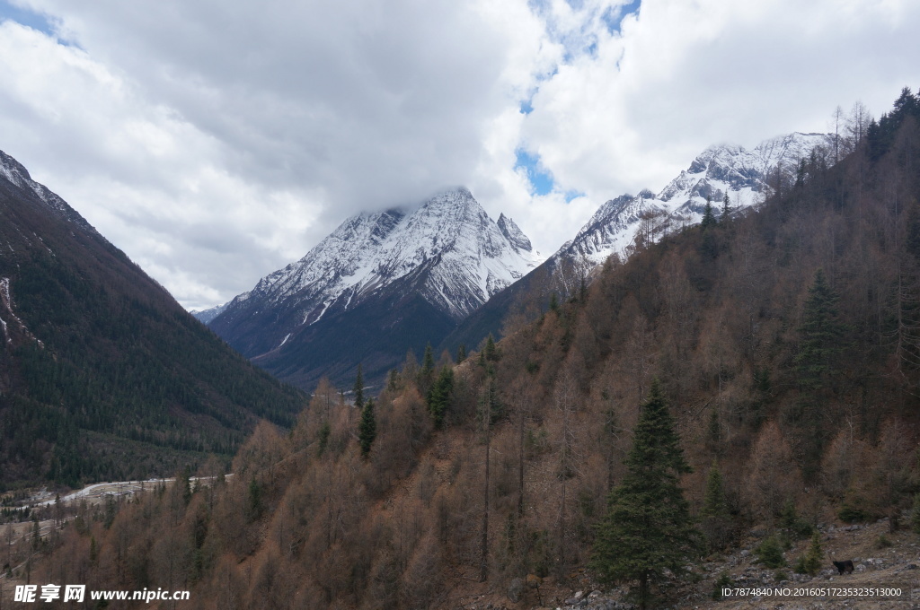四姑娘山