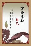 校园文化