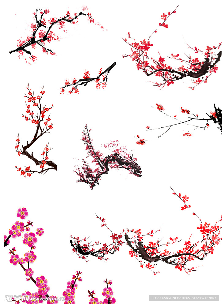 梅花素材