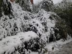 雪景
