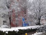 雪景