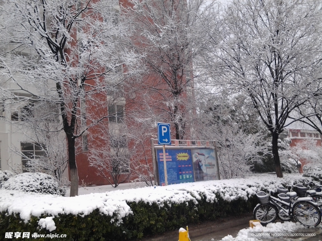 雪景