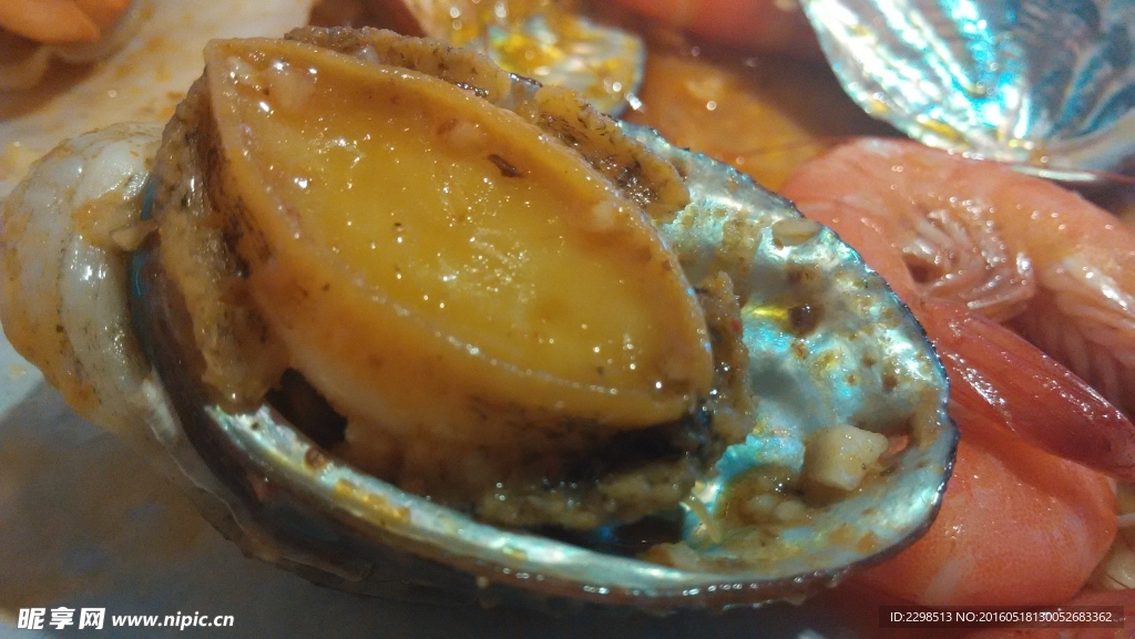 鲍鱼