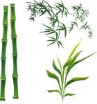 矢量竹子 竹竿