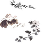 菊花 荷花 梅花