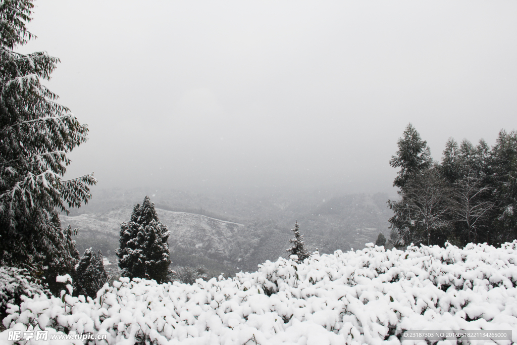 雪景