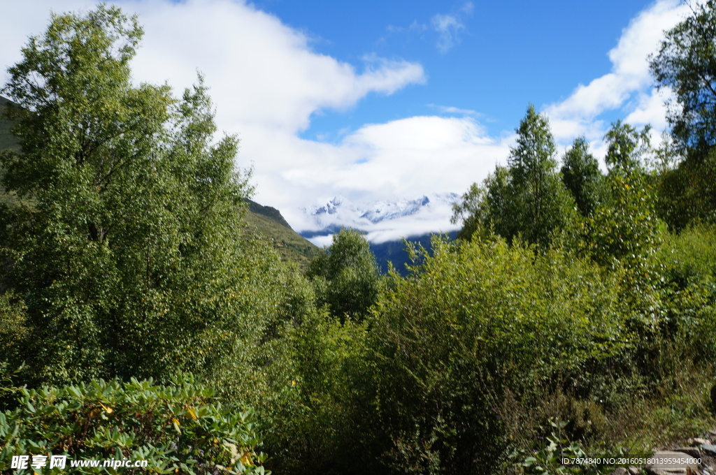 四姑娘山