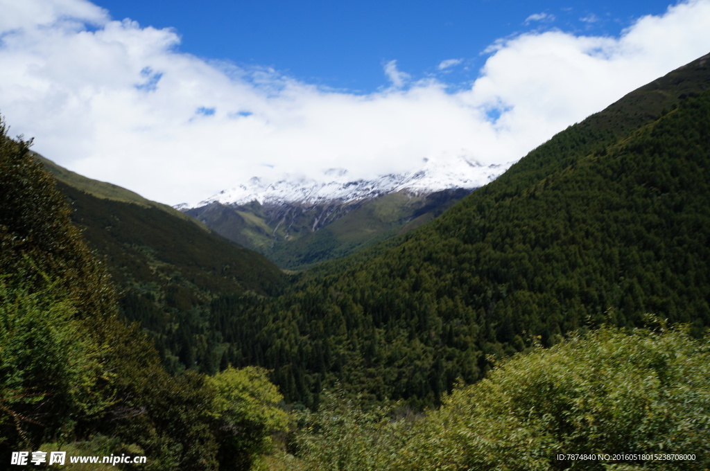 四姑娘山