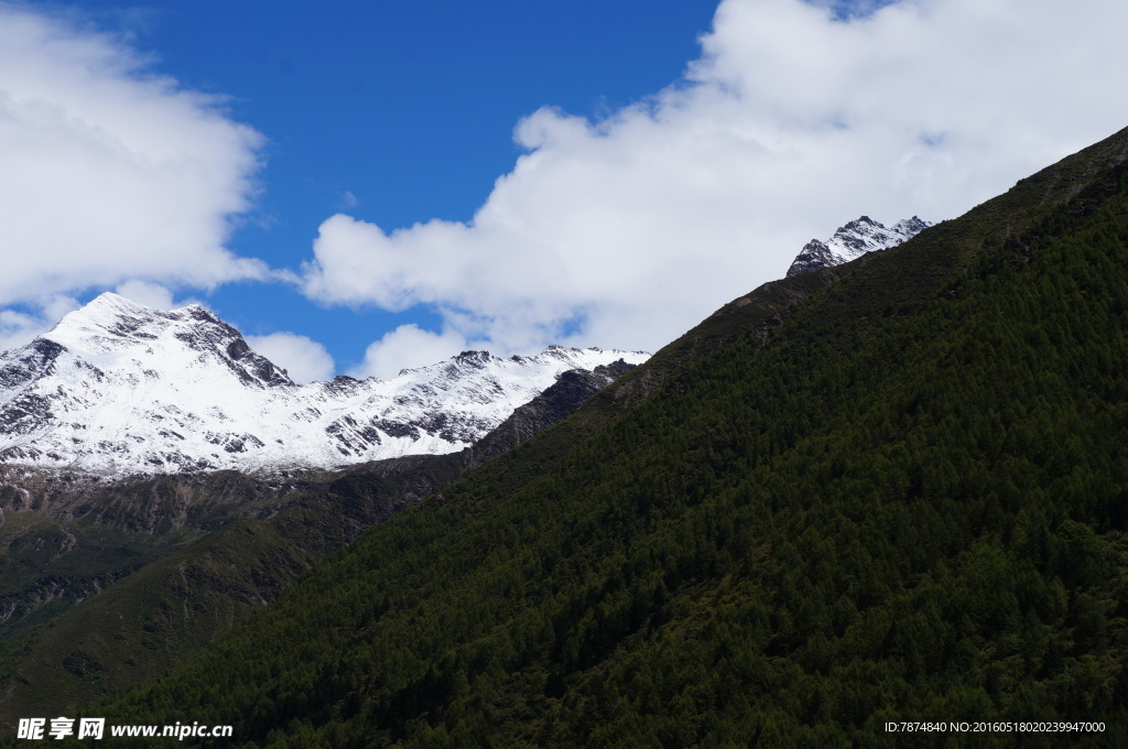 四姑娘山