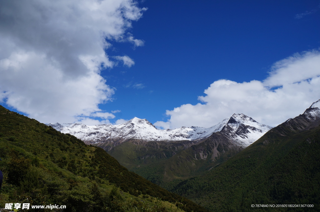 四姑娘山