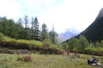 四姑娘山