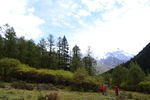 四姑娘山