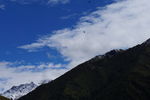 四姑娘山