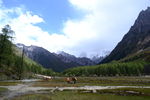 四姑娘山