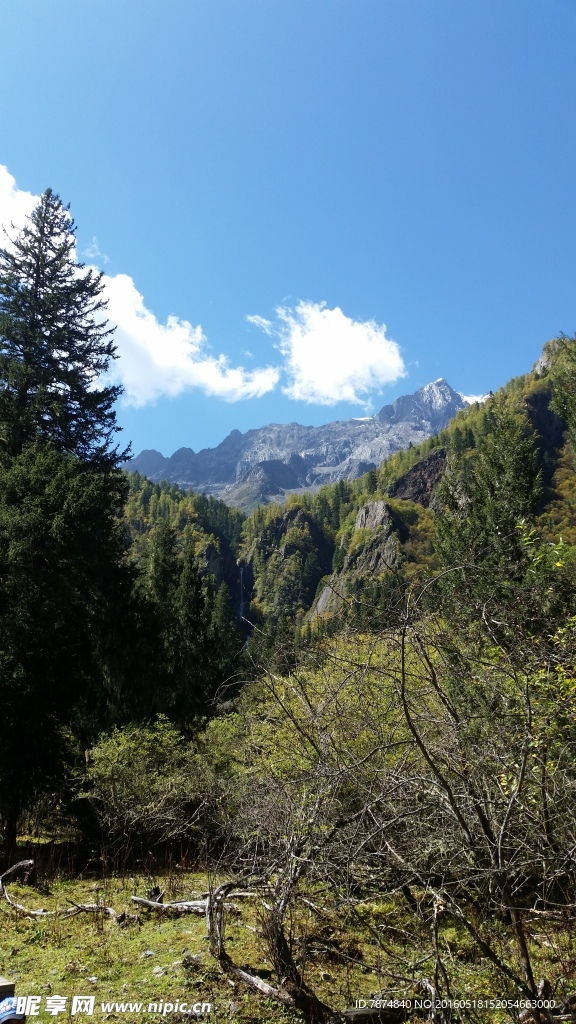 四姑娘山