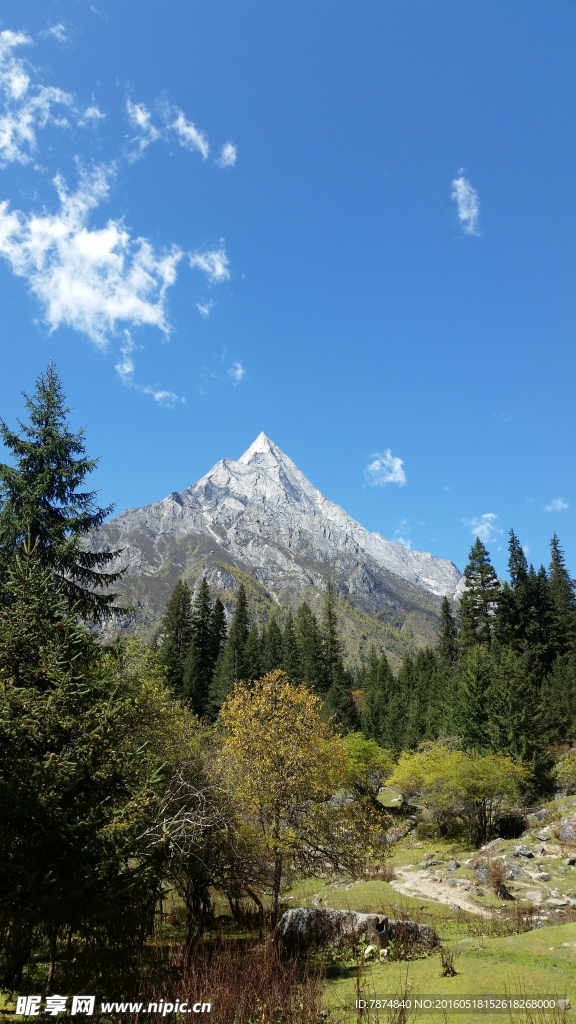 四姑娘山