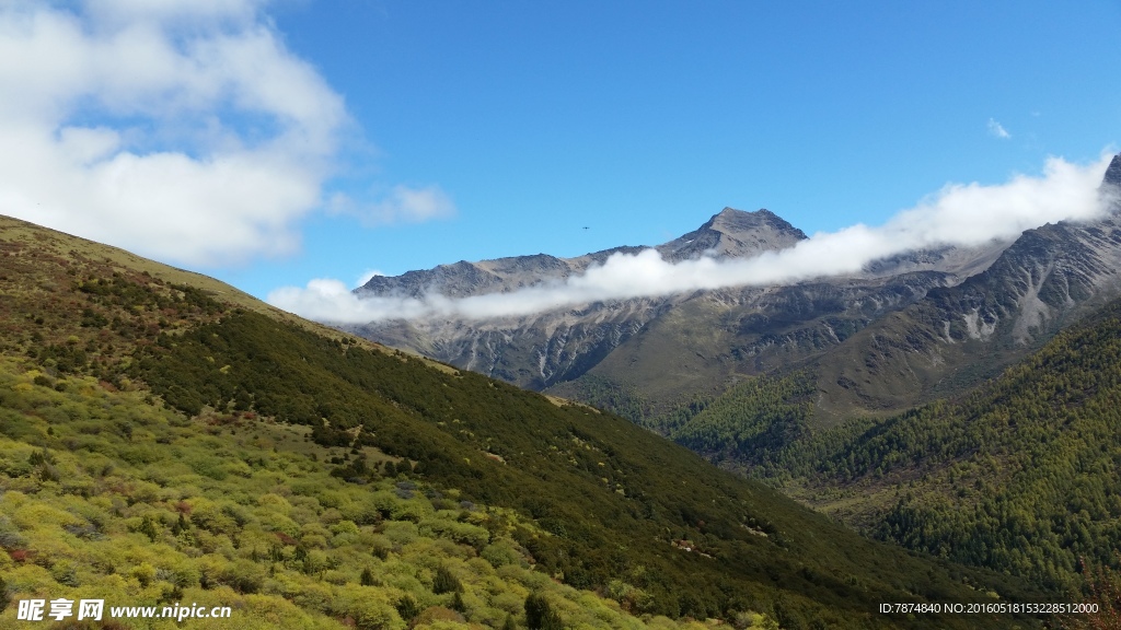 四姑娘山