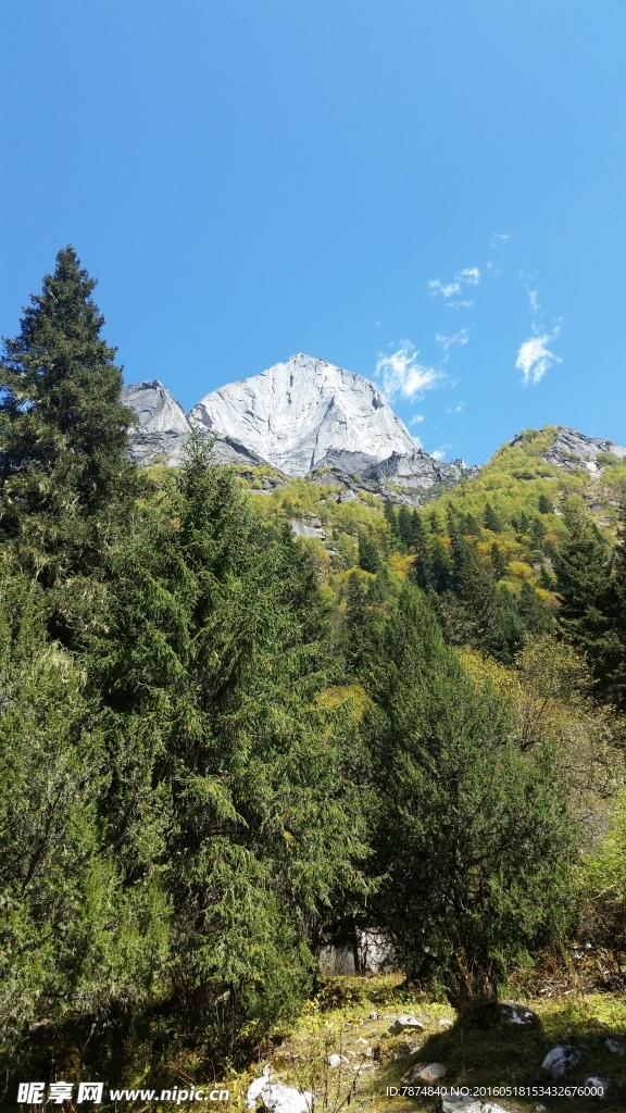 四姑娘山