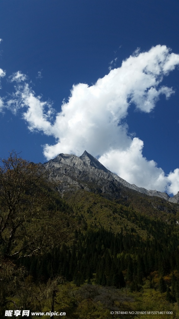 四姑娘山