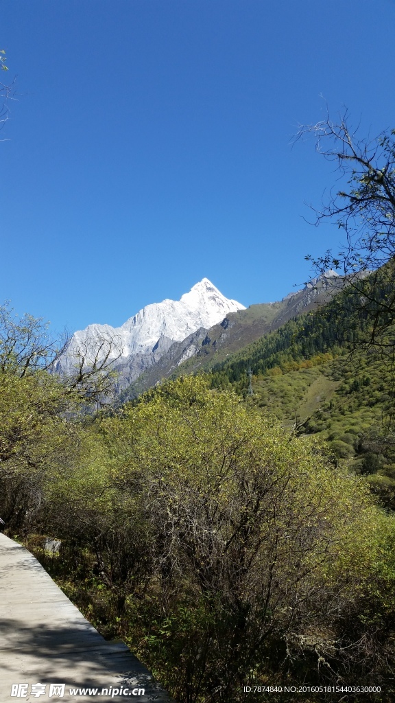 四姑娘山