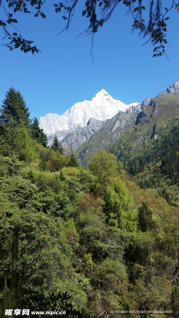 四姑娘山