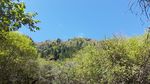 四姑娘山
