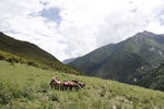 四姑娘山