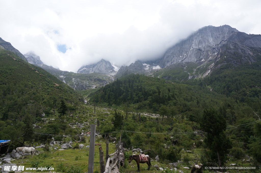 四姑娘山