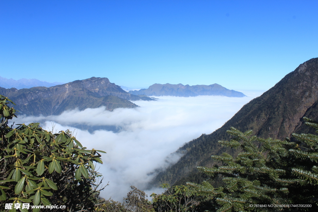 牛背山