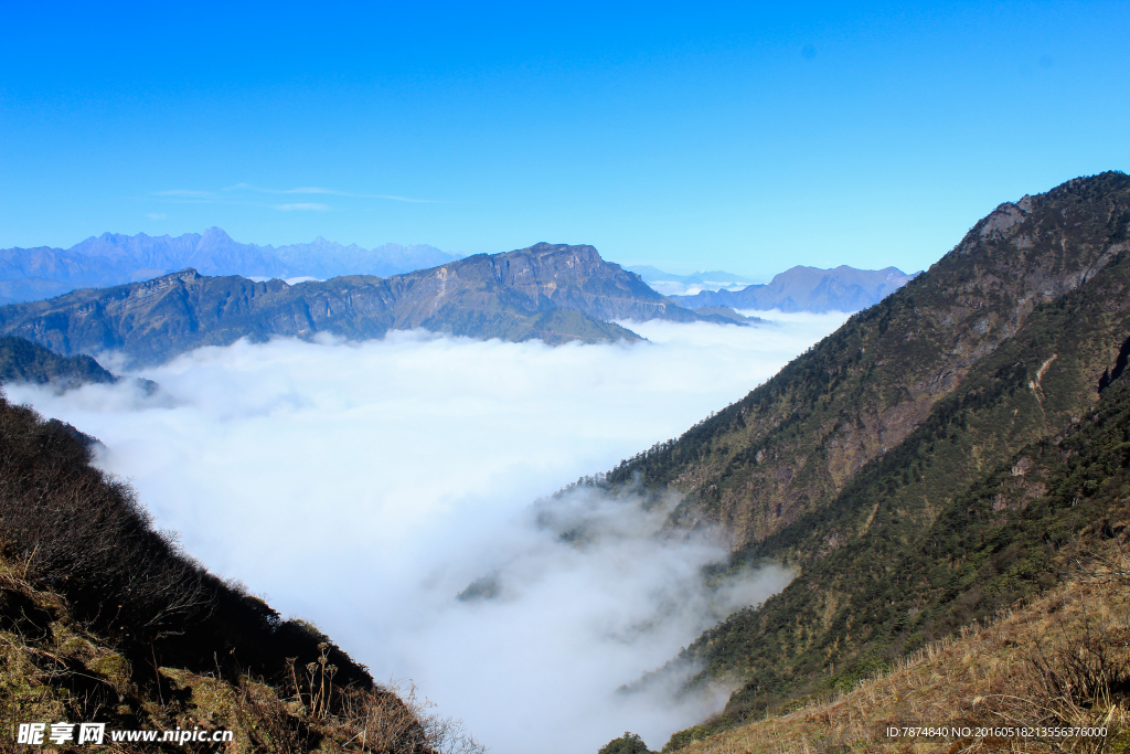 四姑娘山