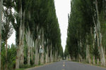 公路