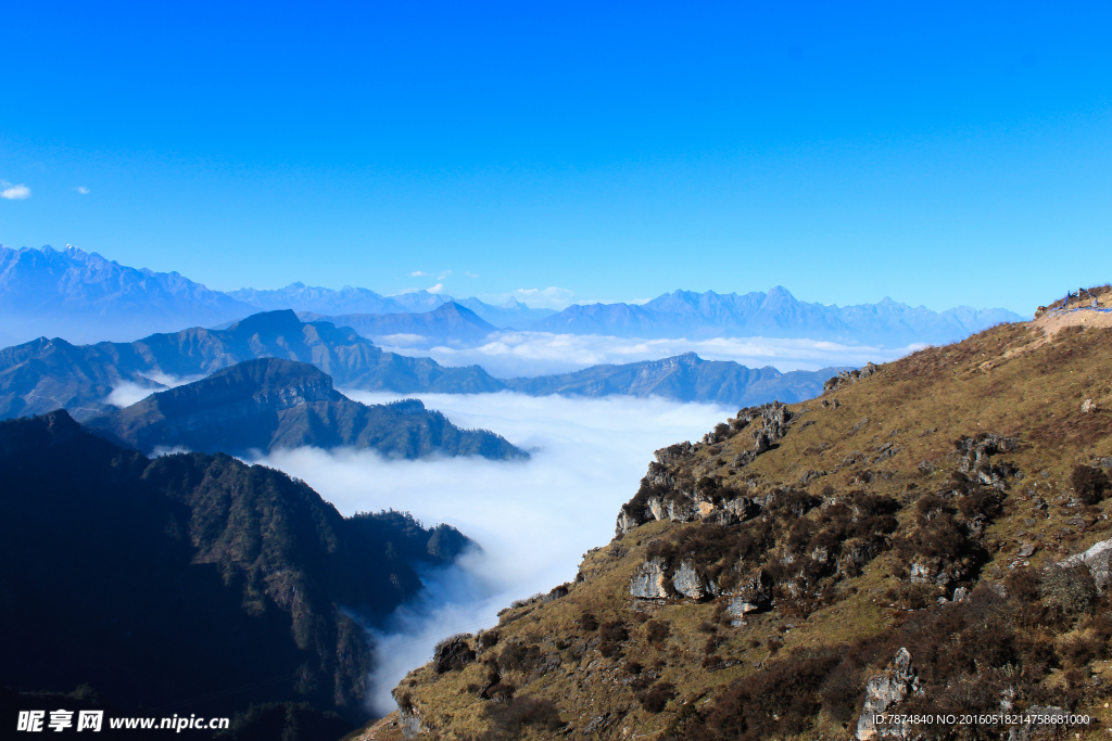 四姑娘山