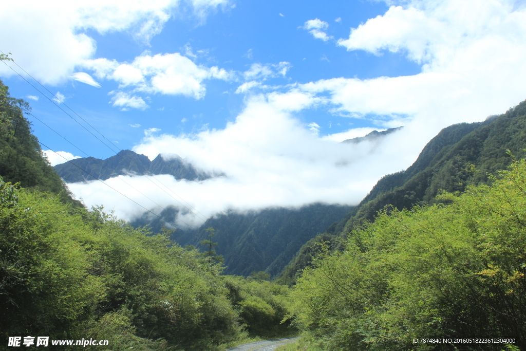 四姑娘山