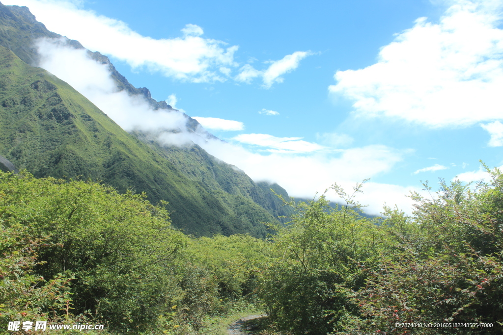 四姑娘山
