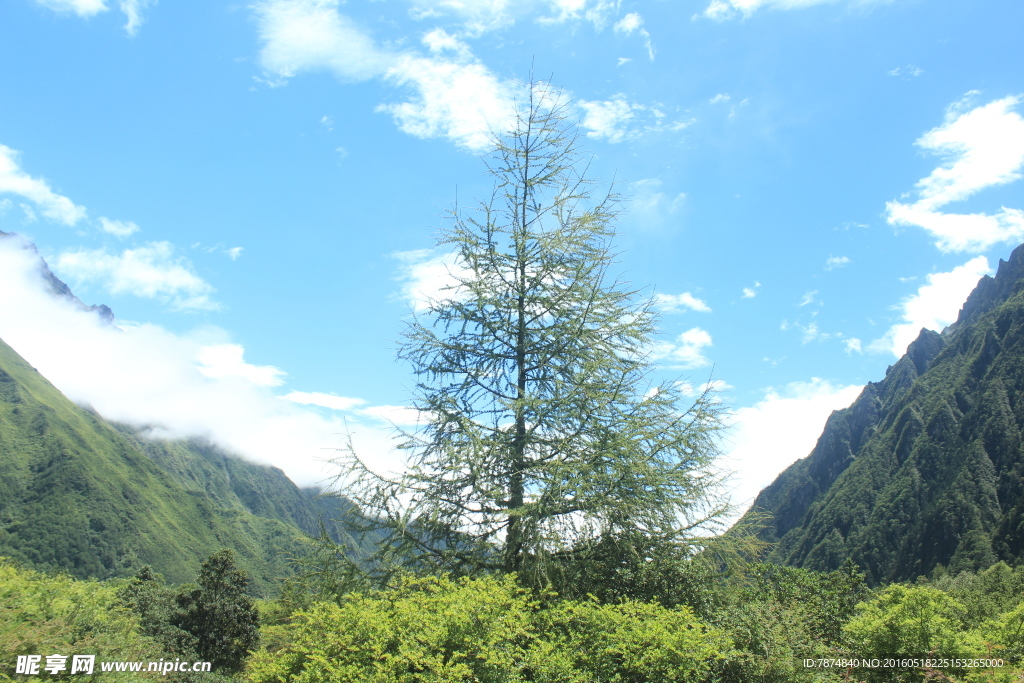 四姑娘山