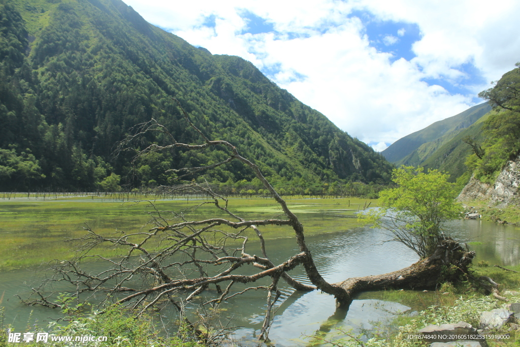 松坪沟