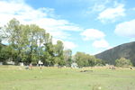 四姑娘山
