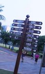 万绿园 路标