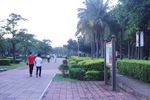 万绿园 公园
